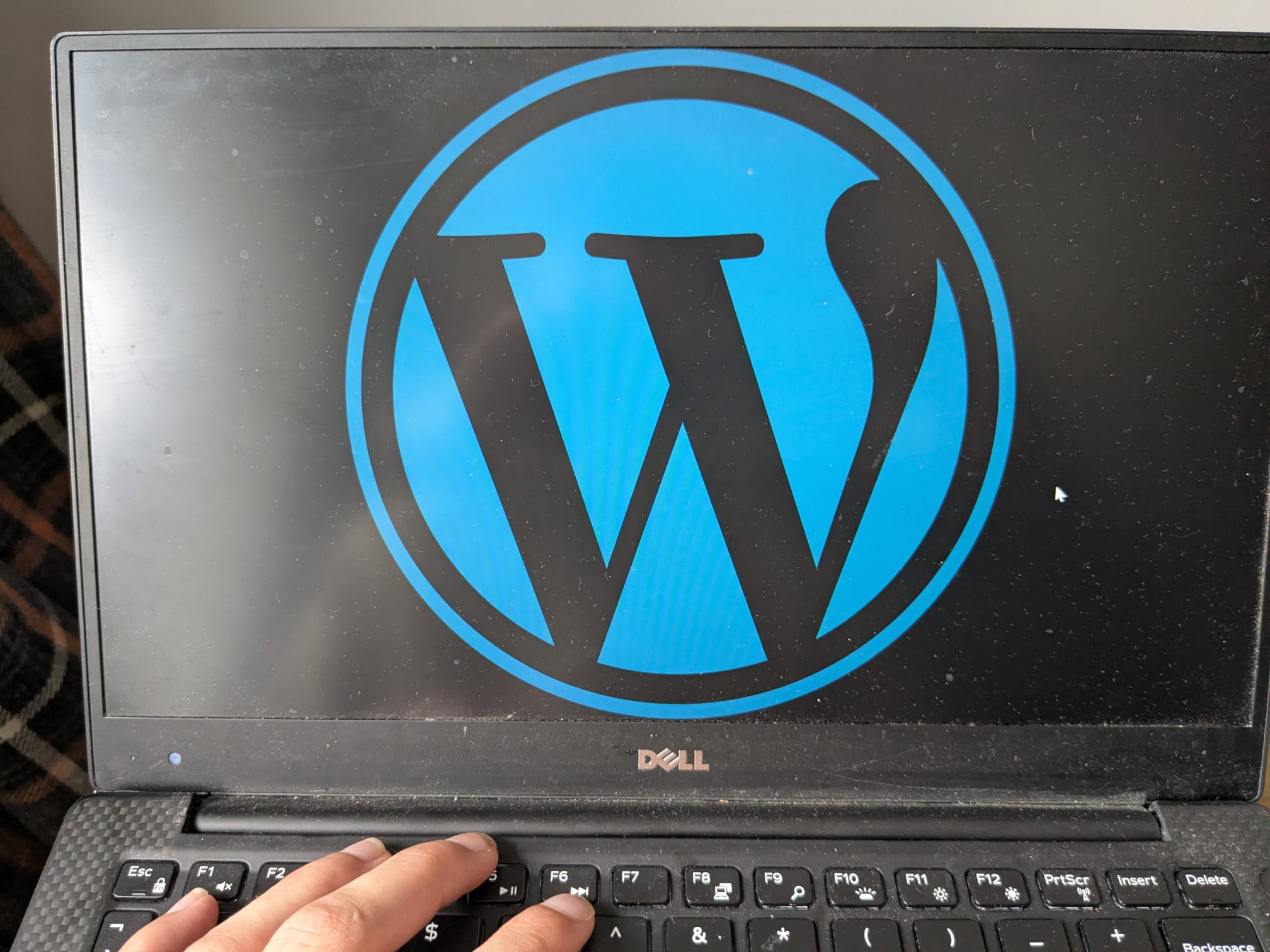 An image of the WordPress logo in blue
